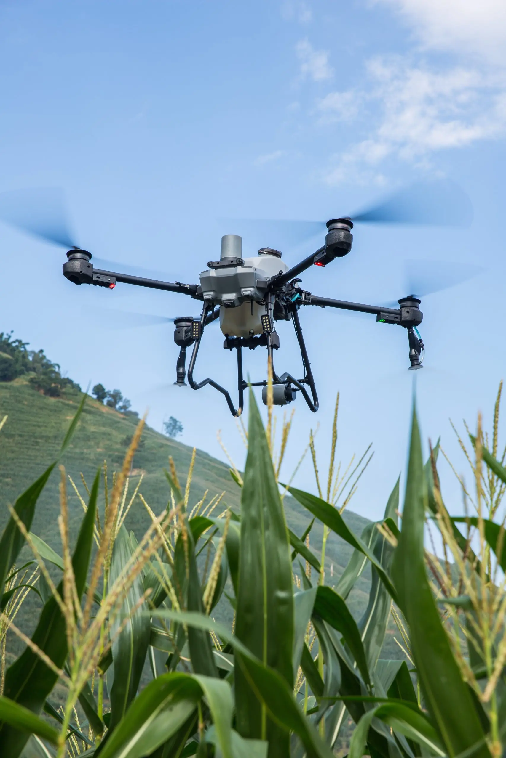 Domovsk&aacute; str&aacute;nka