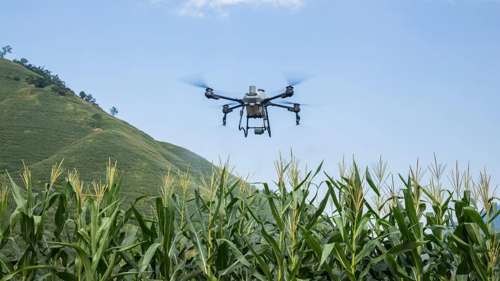 Domovsk&aacute; str&aacute;nka