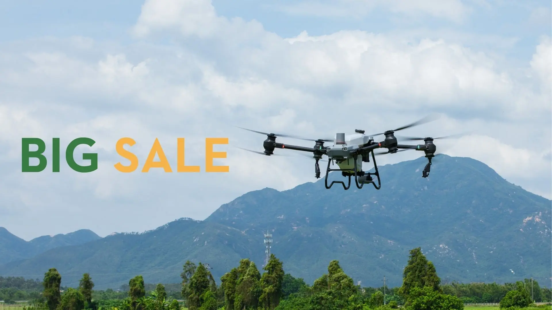 Domovsk&aacute; str&aacute;nka