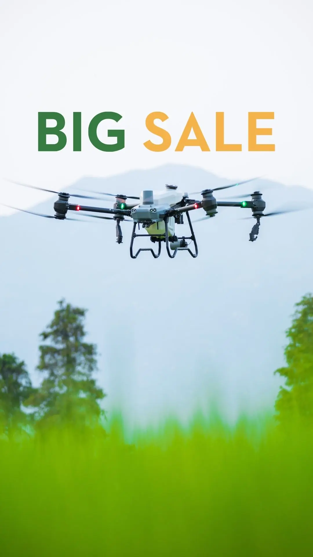 Domovsk&aacute; str&aacute;nka