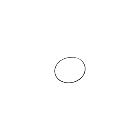 Motor Sealing Ring (OD= 46.8 mm)